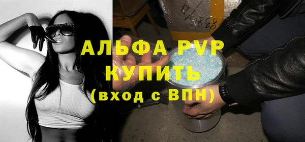 СК Волоколамск