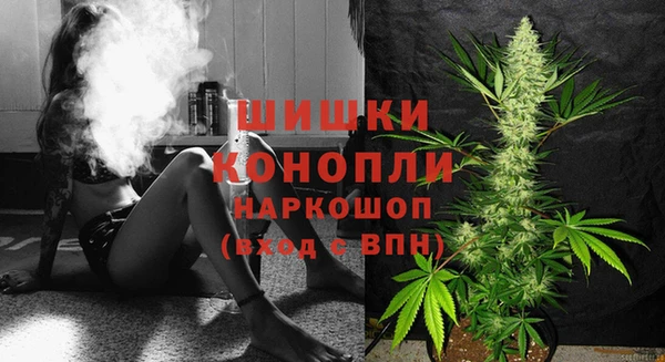 дживик Сясьстрой