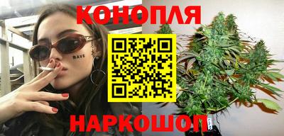 spice Камышлов