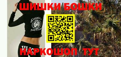 spice Камышлов