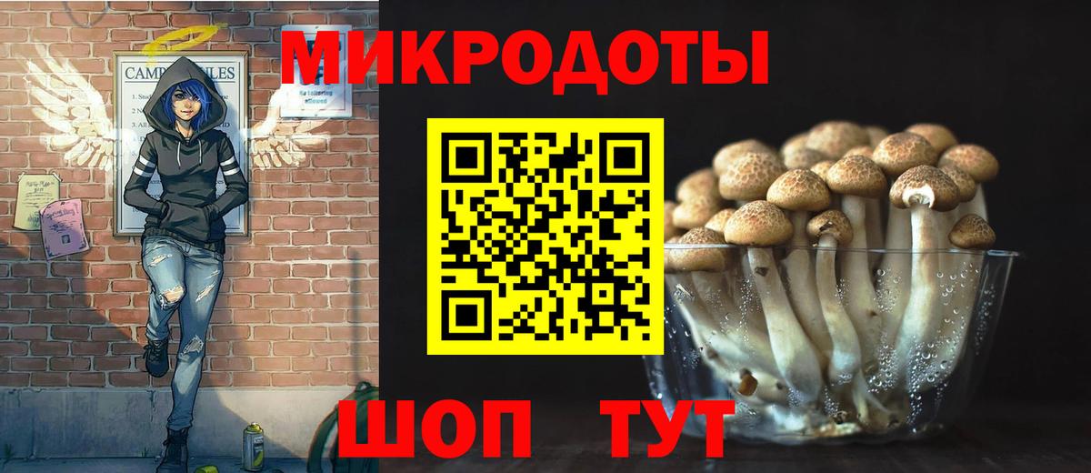Галлюциногенные грибы Psilocybe Отрадный