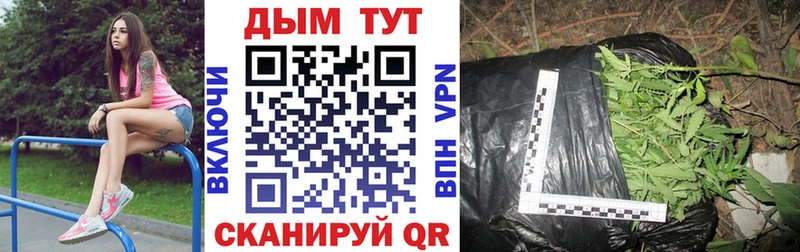 Канабис гибрид omg маркетплейс Отрадный